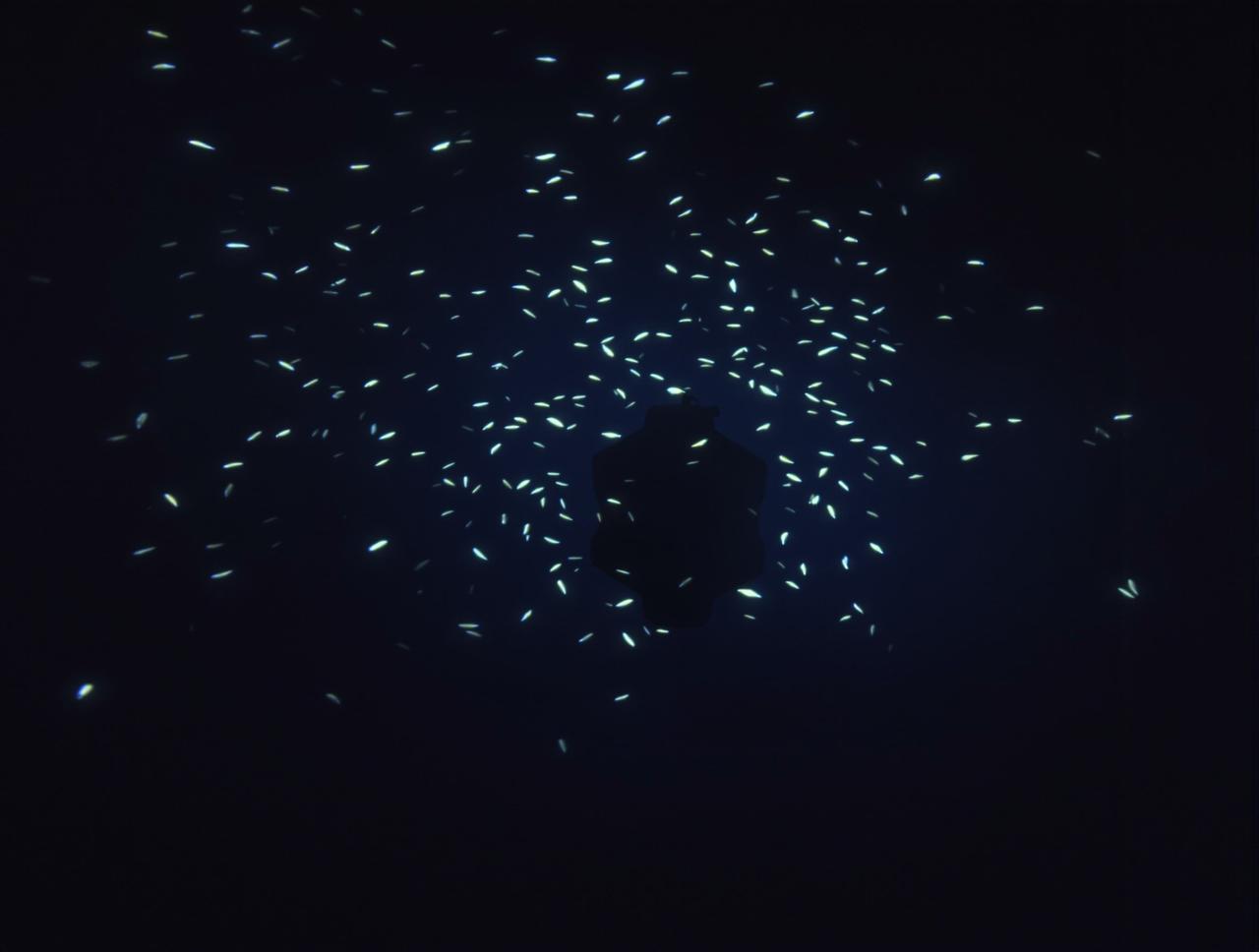 三级电影院纪录片：深海探秘观后感分享