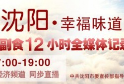 沈阳新闻今天爆料,重磅爆料，揭秘某事件背后真相