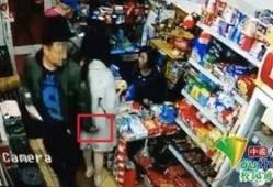 长春超市爆料视频大全集,揭秘日常购物背后的真相