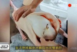 大鹅爆料事件视频完整版,揭秘视频完整版背后的惊人真相